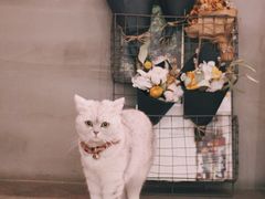 -研途咖啡馆(健康路店)