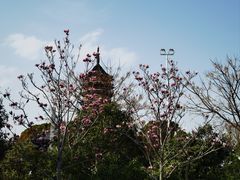-北寺塔