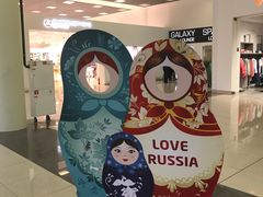 -谢列梅捷沃国际机场