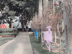 -观澜湖生态运动公社