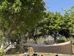 -风云岭森林公园