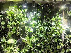 -甲大帅·甲鱼·椰子鸡主题餐厅(唐家店)
