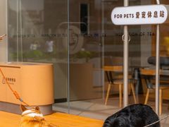 -喜茶(珠海华发商都店)