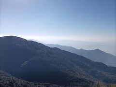 -武陵山森林公园