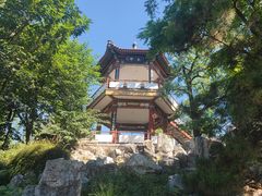 -莲花池公园