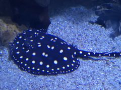 -华夏文旅西安度假区