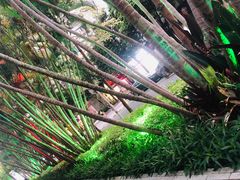 -水围村