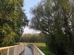 -宝安西湾红树林湿地公园