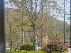 -东明山森林公园