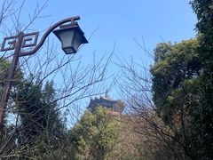 -杭州半山国家森林公园