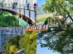 -米氏火鱼·泡椒鱼火锅(李子坝老店)
