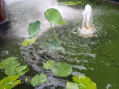 -濮园 · 四合院餐厅