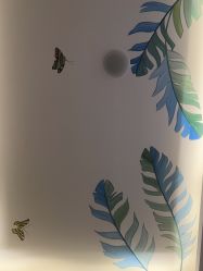 点击看大图 -唤颜美容·养生按摩SPA