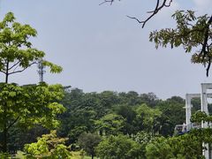 -东莞植物园