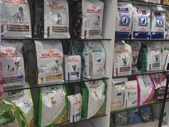 -瑞派·关忠动物医院·猫专科·犬专科(三环新城店)