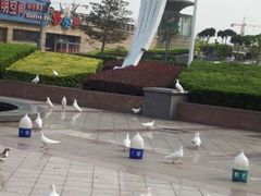 -海河外滩公园