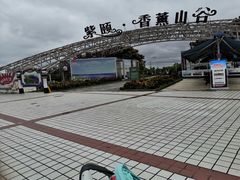 -紫颐香薰山谷景区