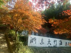 -宁波浙东大竹海景区