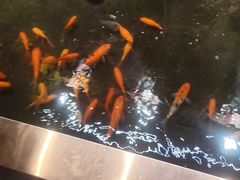 -二姐家三个拿手菜·北塘海鲜·大馅锅贴王(成林道店)