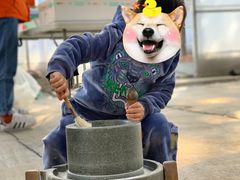 -前小桔亲子创意农场·草莓采摘·露营烧烤