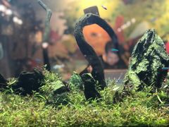 -六月花园咖啡馆(中关村东路店)