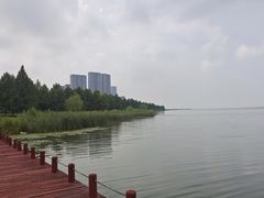 -苏州东太湖生态园