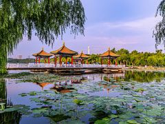 -长春市南湖公园