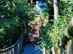 -龙苍沟森林公园