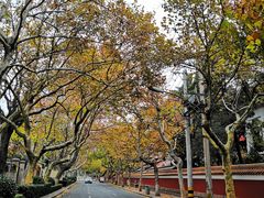 -文化名人故居一条街