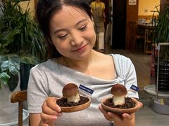 -大理董·董家小厨野生菌火锅(古城旗舰店)