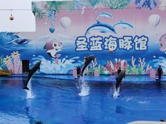 -北戴河圣蓝海洋公园