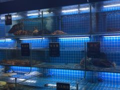 -鸽子侯·家宴·平价海鲜(市图书馆店)