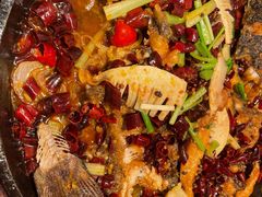 -老板恋上鱼(印象城店)