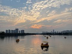 -洋湖国家湿地公园