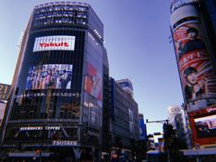 -涩谷区