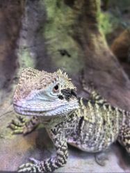 -酷嗒动物文化乐园(cutezoo西溪乐天城店)