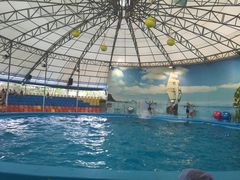 -尼莫海豚馆