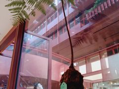 -二酉书店TOYOU BOOKS