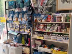 -米苏动物医院·犬猫专科·骨科外科内窥镜