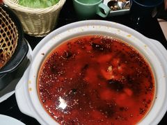 -三强鸽子(中原路店)