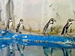 -太平洋海底世界