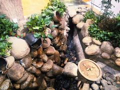 -雅和生态渔庄·宜城锅巴饭(龙灵山公园店)