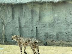 -北京野生动物园