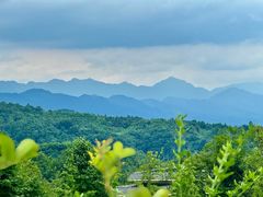 -碧峰峡风景区