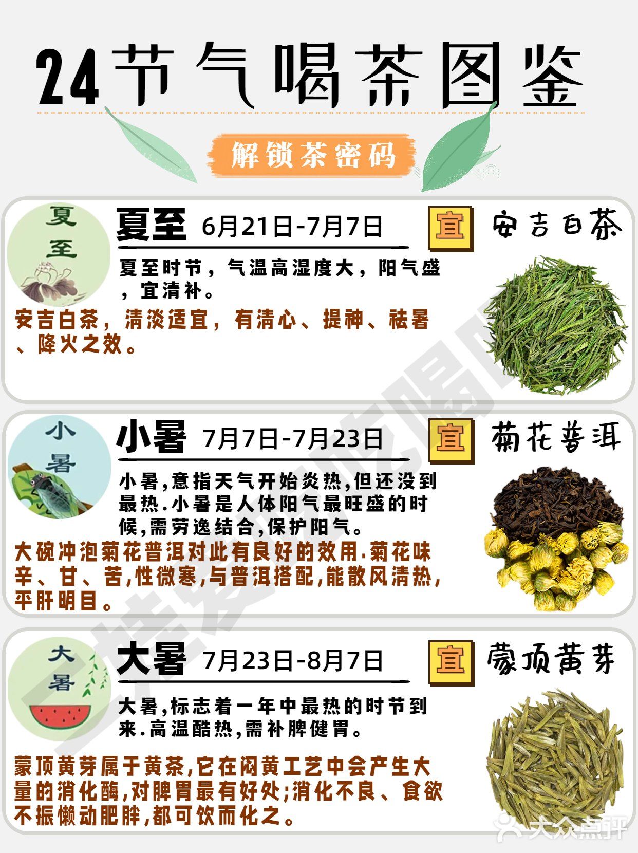 24节气喝茶图鉴🍃解锁茶密码