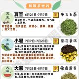 24节气喝茶图鉴🍃解锁茶密码