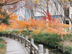 -钱江新城