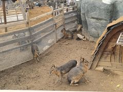 -祥源·阜阳生态乐园