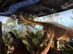 -陕西自然博物馆