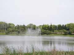 -福建鲤鱼洲酒店